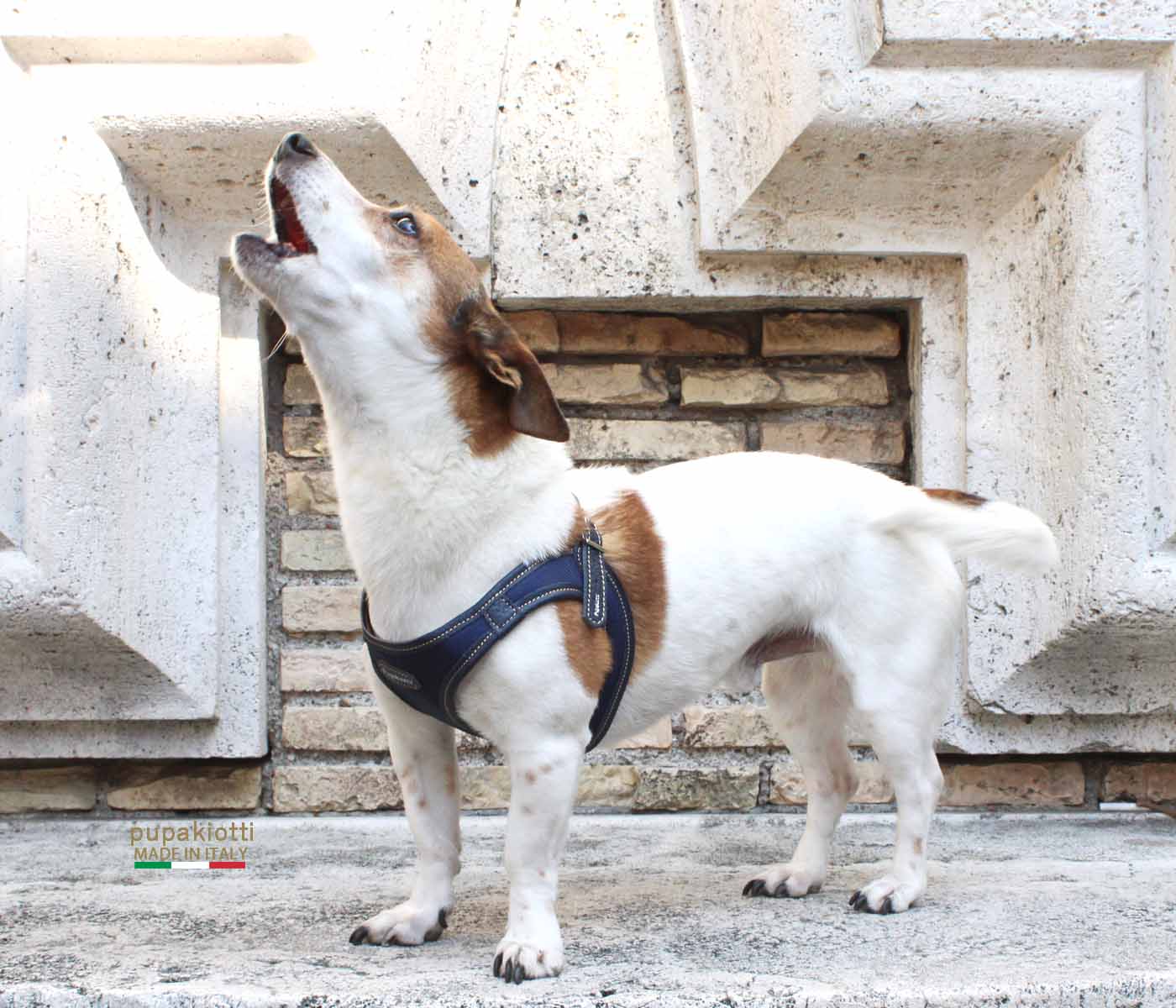 Contemporary. Pettorina ergonomica e regolabile in tessuto tecnico e vera pelle per cane