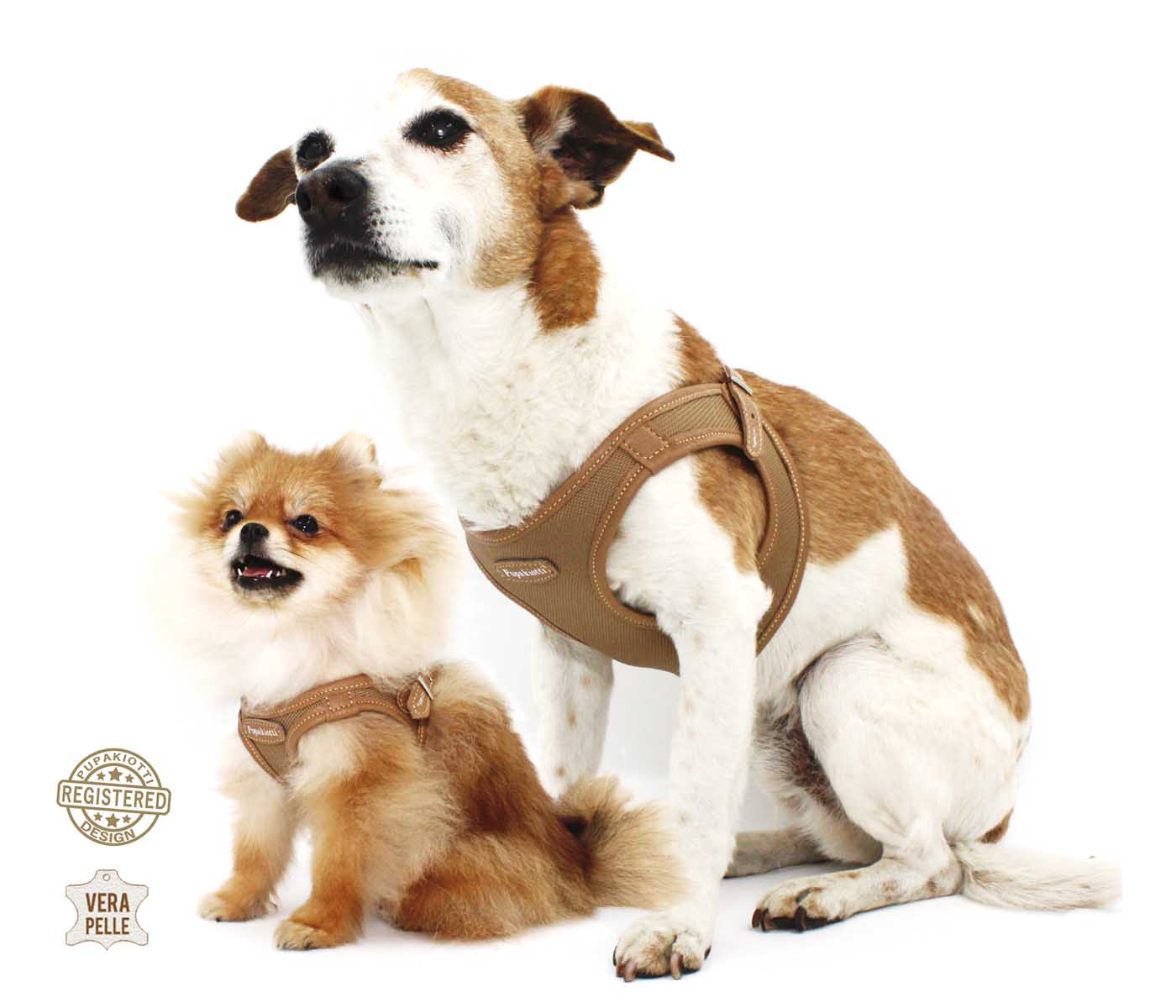 Contemporary. Pettorina ergonomica e regolabile in tessuto tecnico e vera pelle per cane