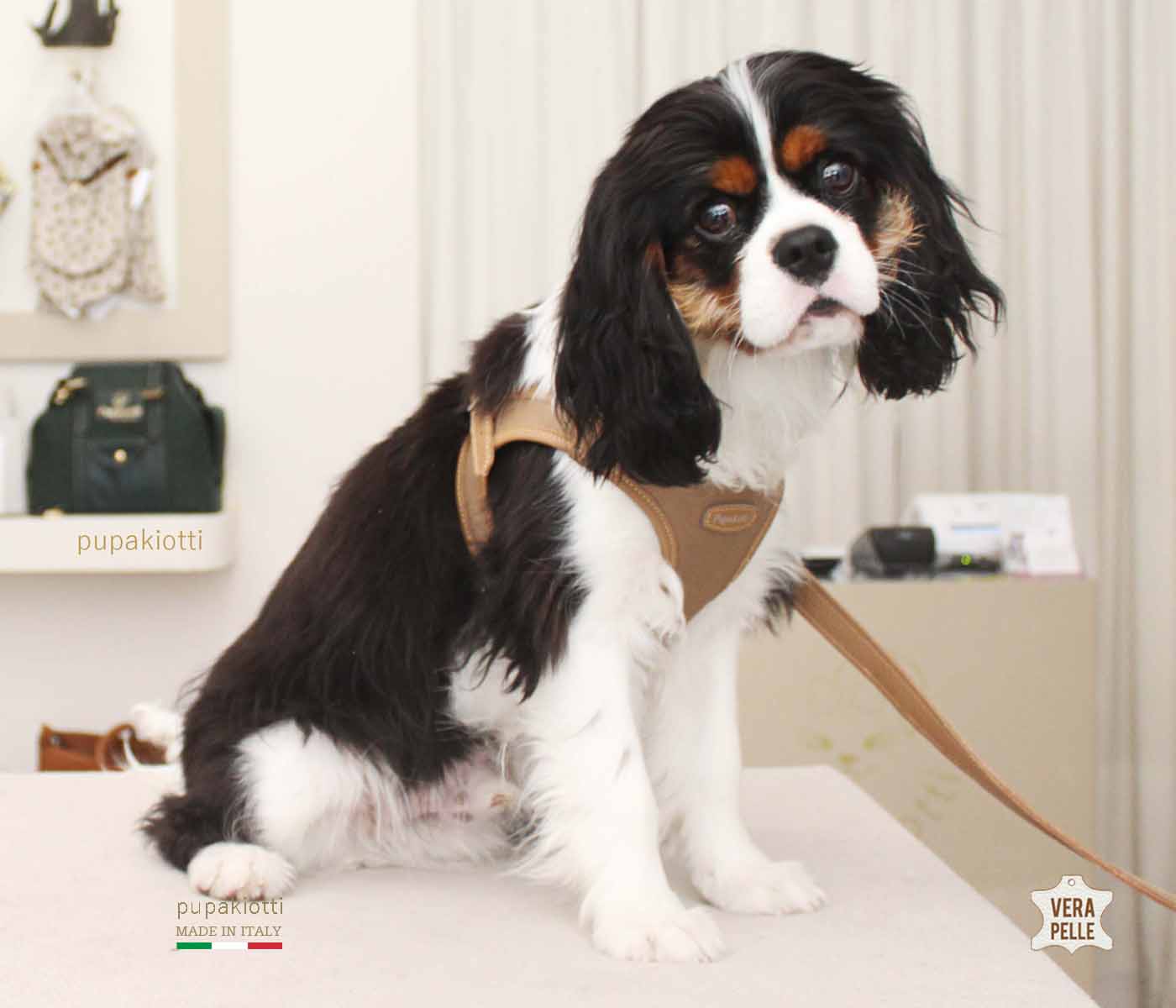 Contemporary. Pettorina ergonomica e regolabile in tessuto tecnico e vera pelle per cane