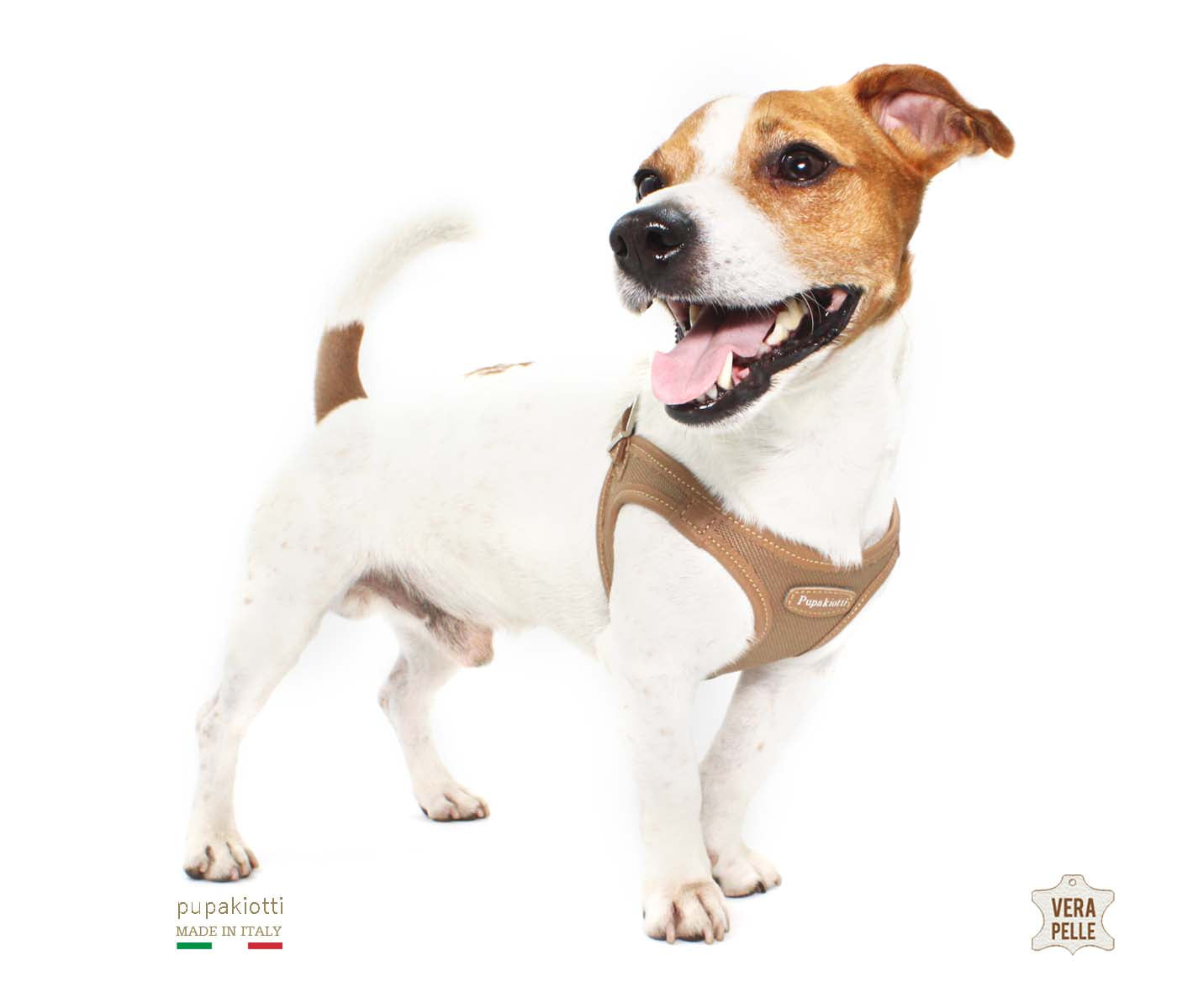 Contemporary. Pettorina ergonomica e regolabile in tessuto tecnico e vera pelle per cane