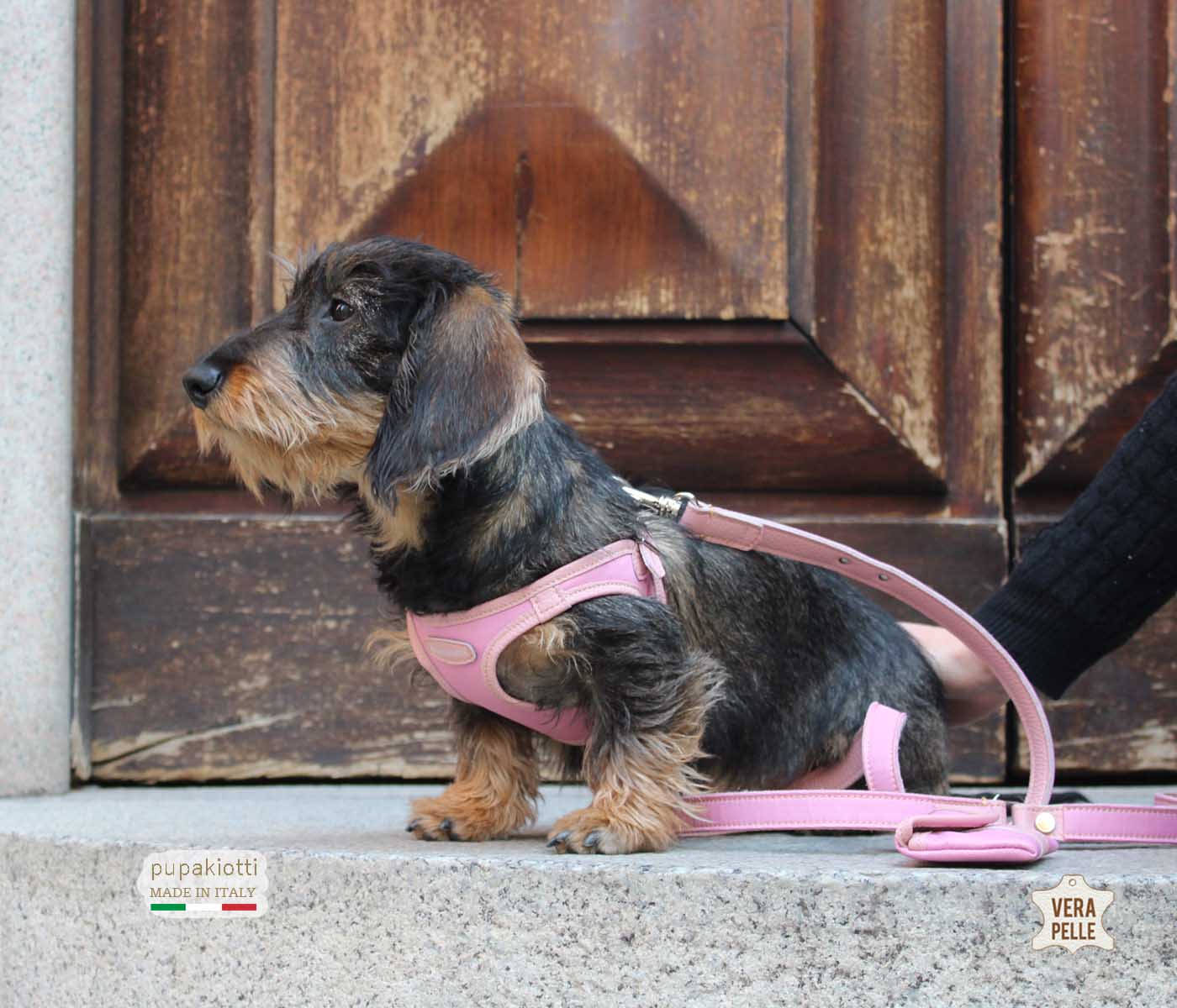 Contemporary. Pettorina ergonomica e regolabile in tessuto tecnico e vera pelle per cane