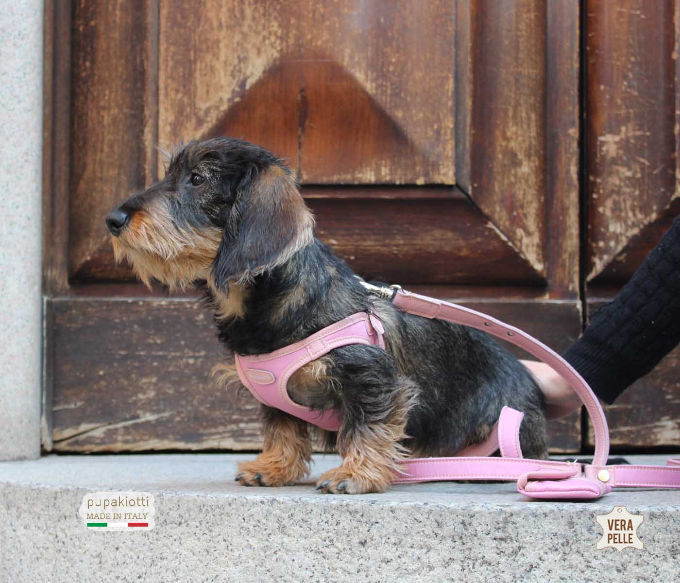 Contemporary. Ergonomic and adjustable harness in technical fabric and Genuine Leather for dogs