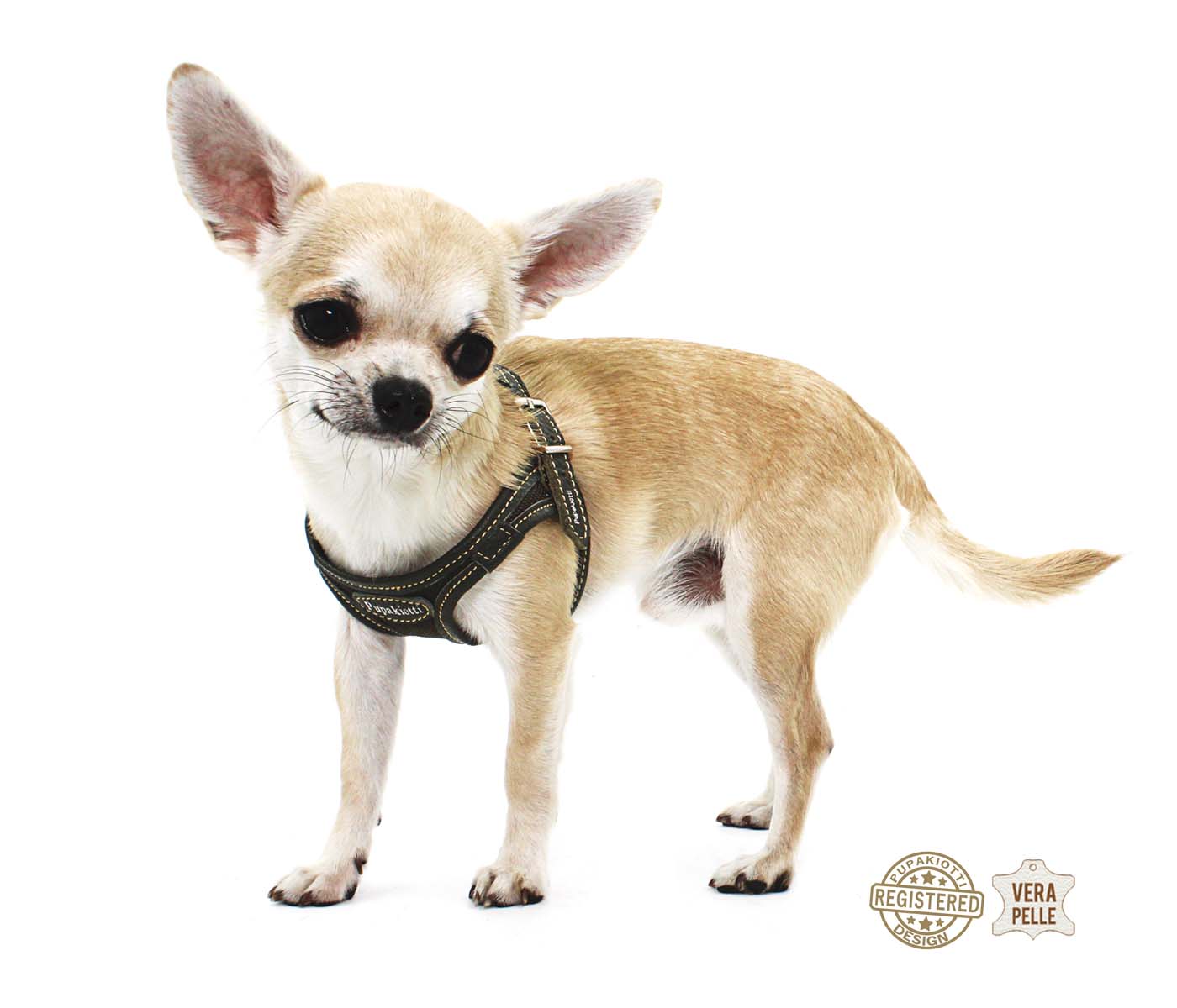 Contemporary. Pettorina ergonomica e regolabile in tessuto tecnico e vera pelle per cane