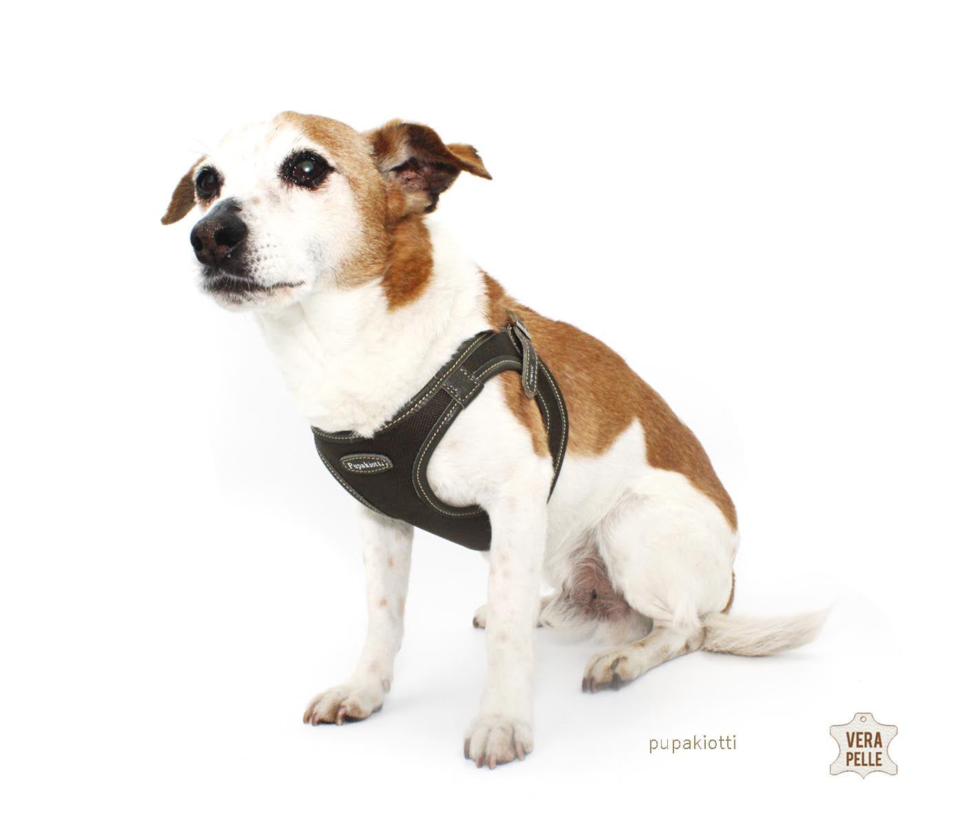 Contemporary. Pettorina ergonomica e regolabile in tessuto tecnico e vera pelle per cane