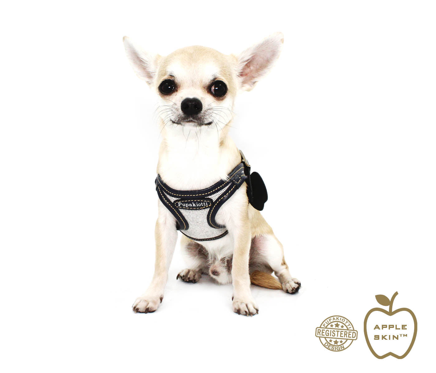 VEGAN. Ergonomic and adjustable harness in organic fabric and apple skin for dog