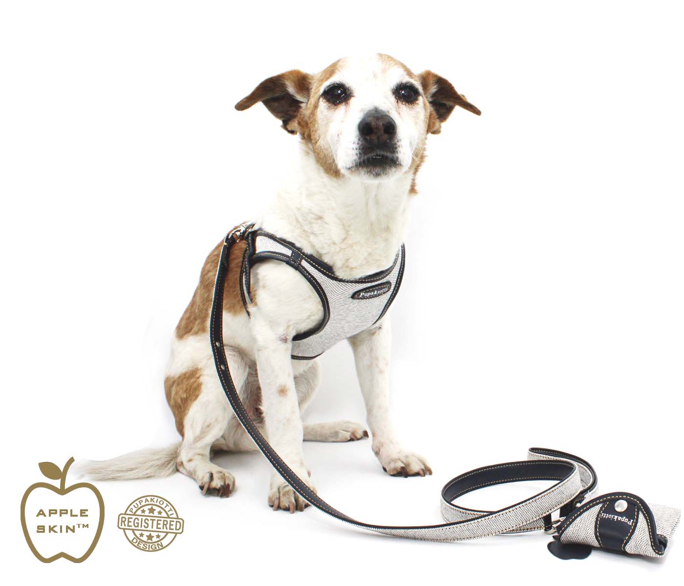 VEGAN. Ergonomic and adjustable harness in organic fabric and apple skin for dog