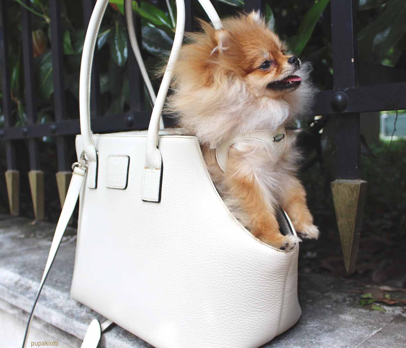 Vilma. Carrying Bag made with Genuine Leather for dog