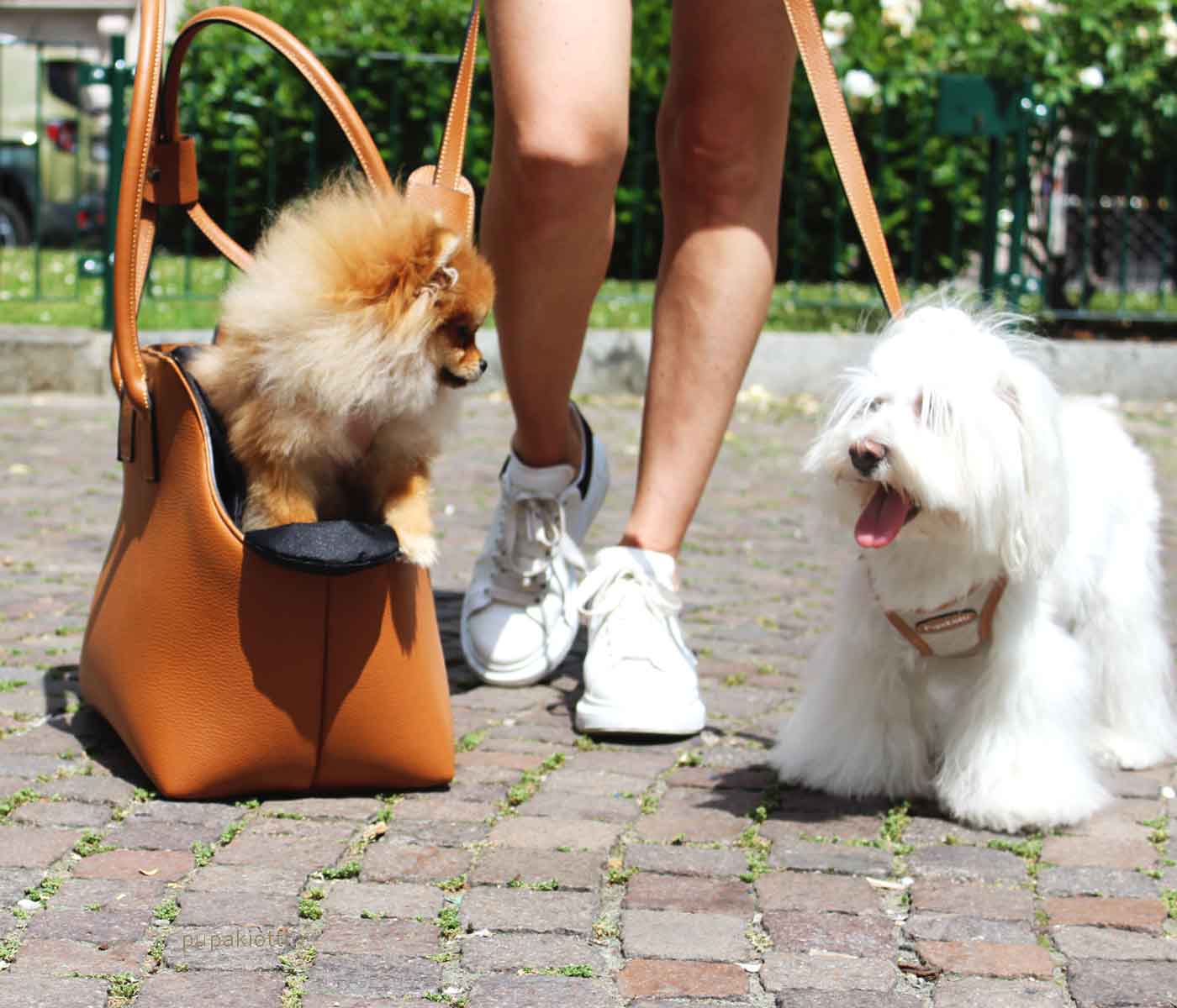 Vilma. Carrying Bag made with Genuine Leather for dog