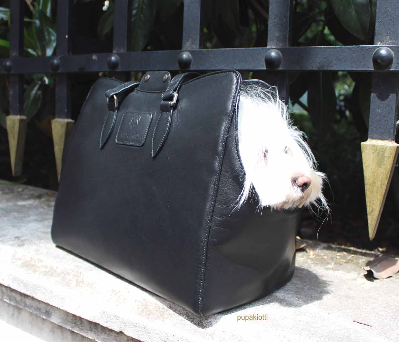 Jasmine. Carrying Bag in Genuine leather for dog