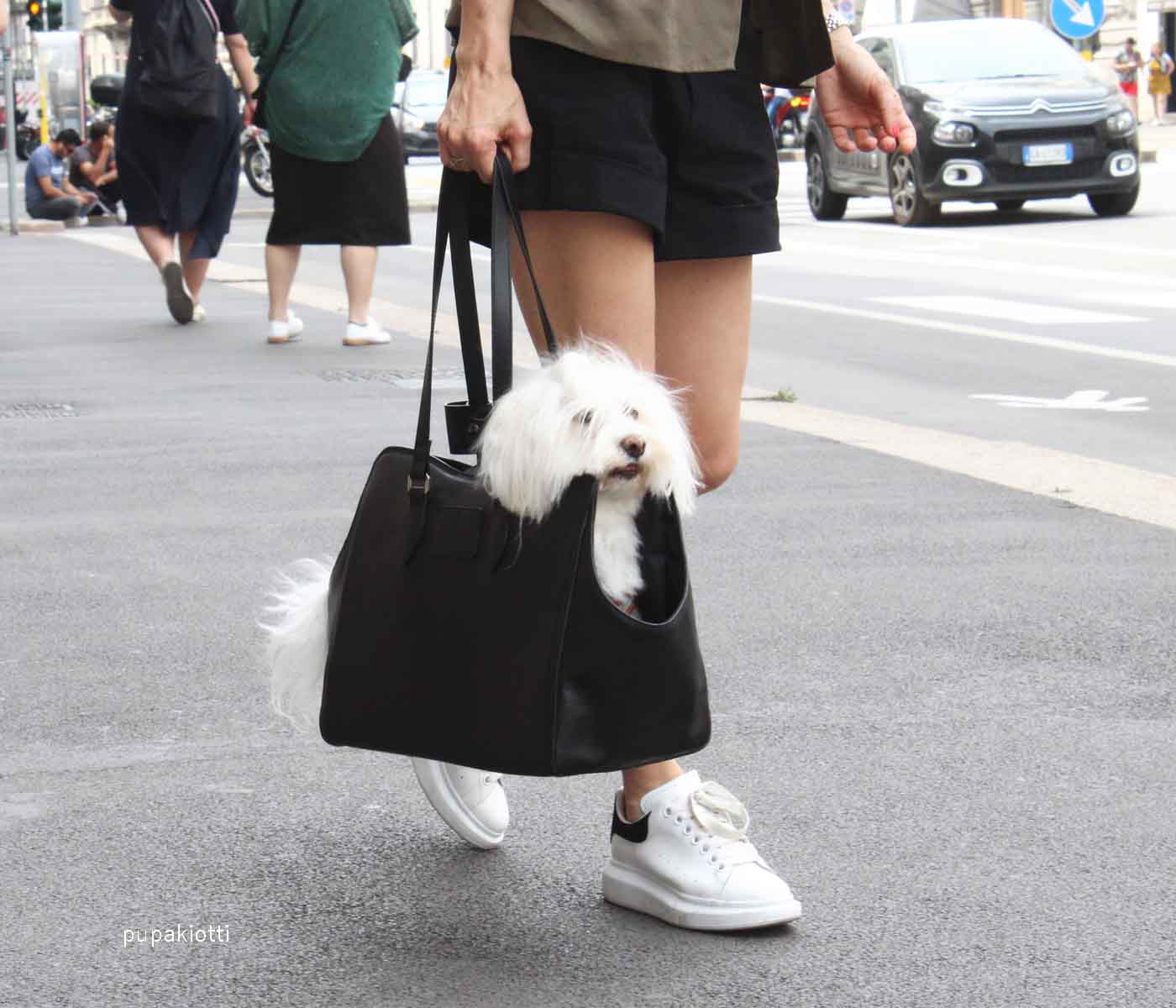 Jasmine. Carrying Bag in Genuine leather for dog