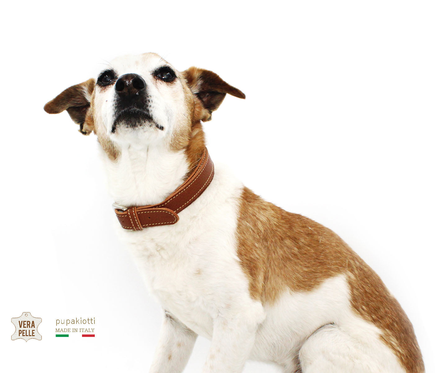 BASIC. Genuine leather collar for dog