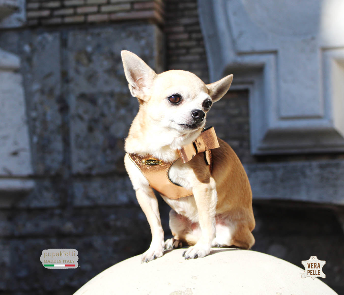 PRECIOUS. Pettorina con Fiocco in vera pelle laminata per cani
