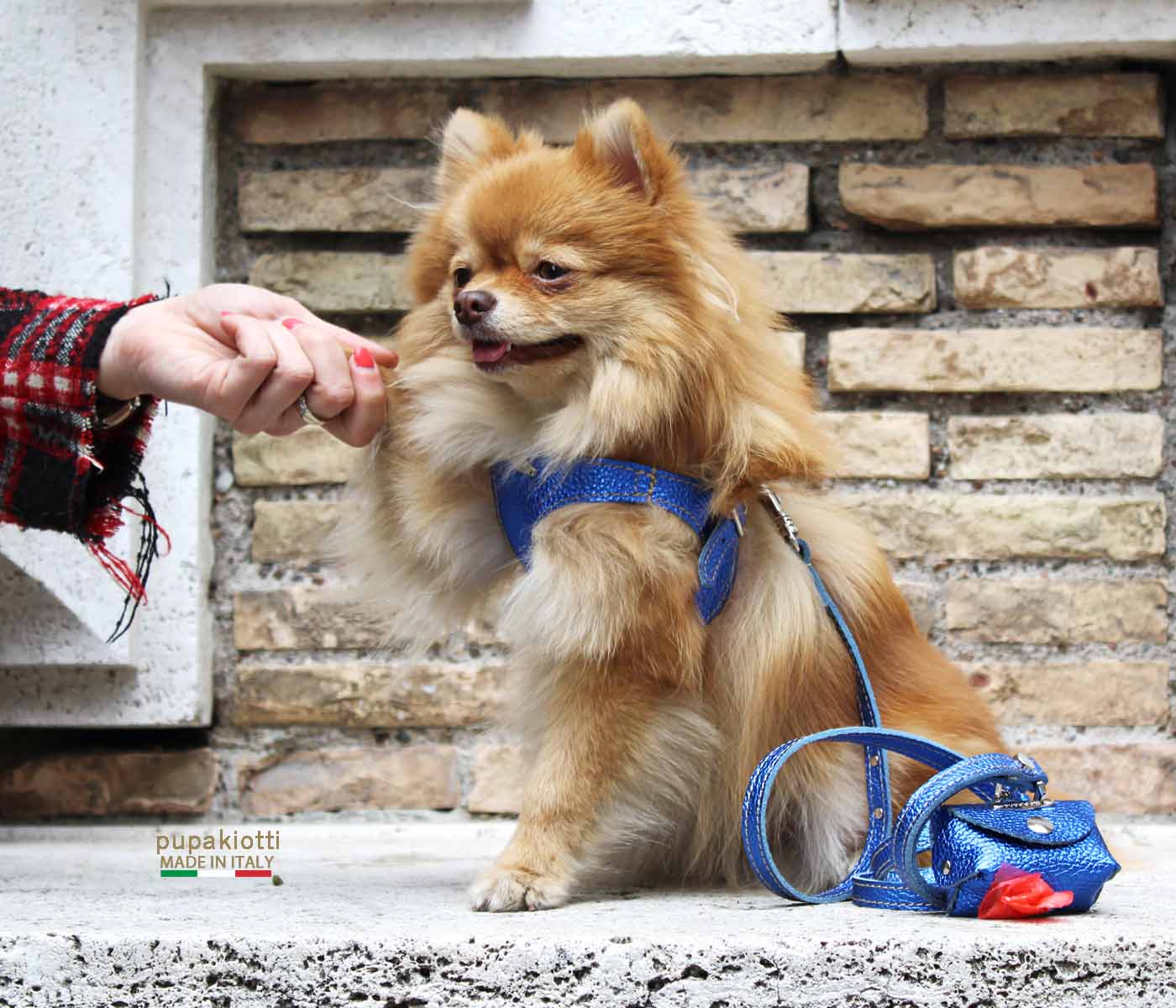 GLAM. 3-piece set. Harness and leash with bag holder in leather for dog