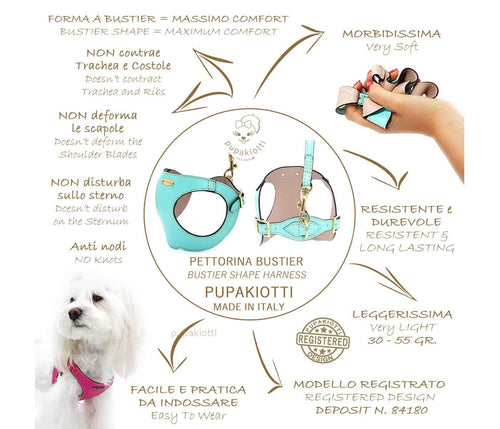PREMIUM 犬用革ハーネス – Pupakiotti
