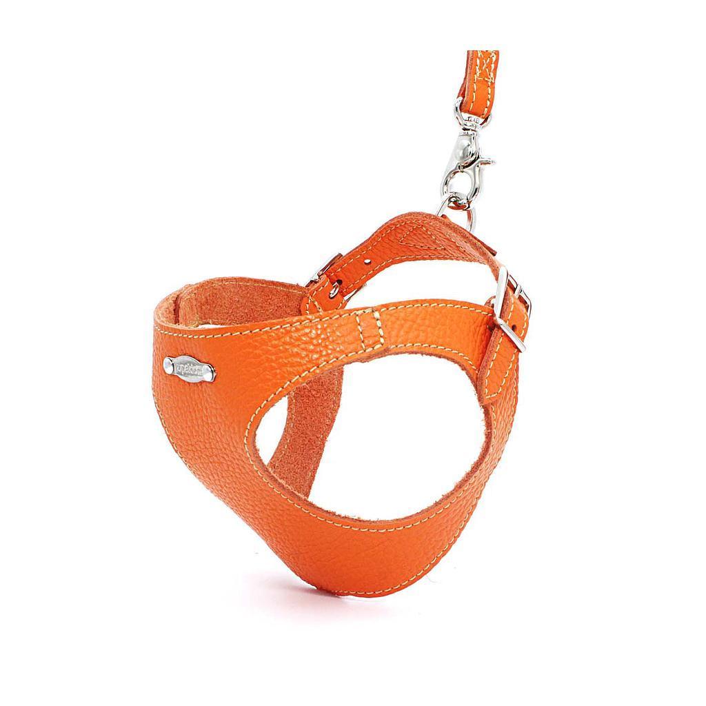 Basic. Ergonomic and adjustable leather harness for dogs