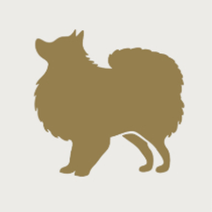 Vestibilità per cani corti