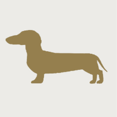 Vestibilità per cani lunghi